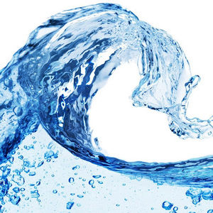 Meet your Posher, Roy